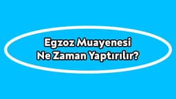 Egzoz Muayenesi ne Zaman Yaptırılır? Ücreti ne Kadar Oldu?