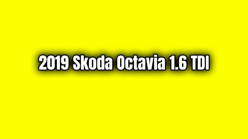 2019 Skoda Octavia 1.6 Tdi Özellikleri