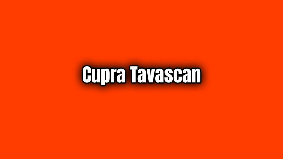 Cupra Tavascan Özellikleri Tamamen Elektrikli Suv Konsepti