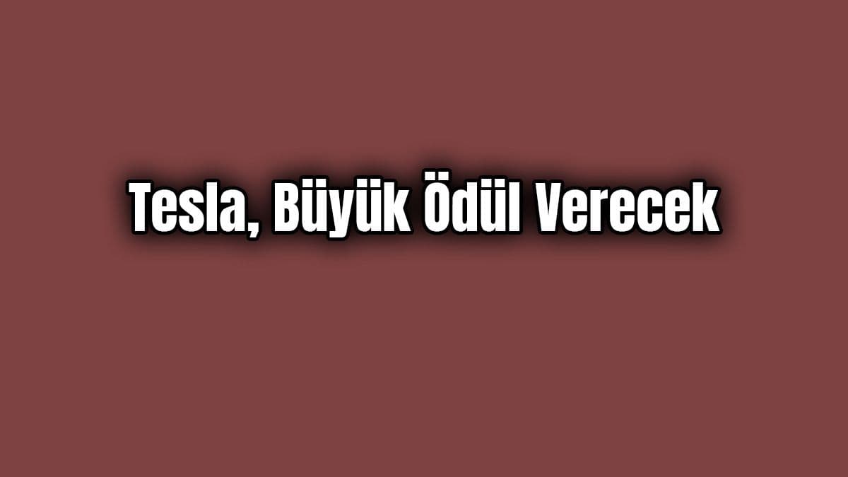 Tesla Büyük Ödül Verecek Yapmanız Gereken Tek Şey