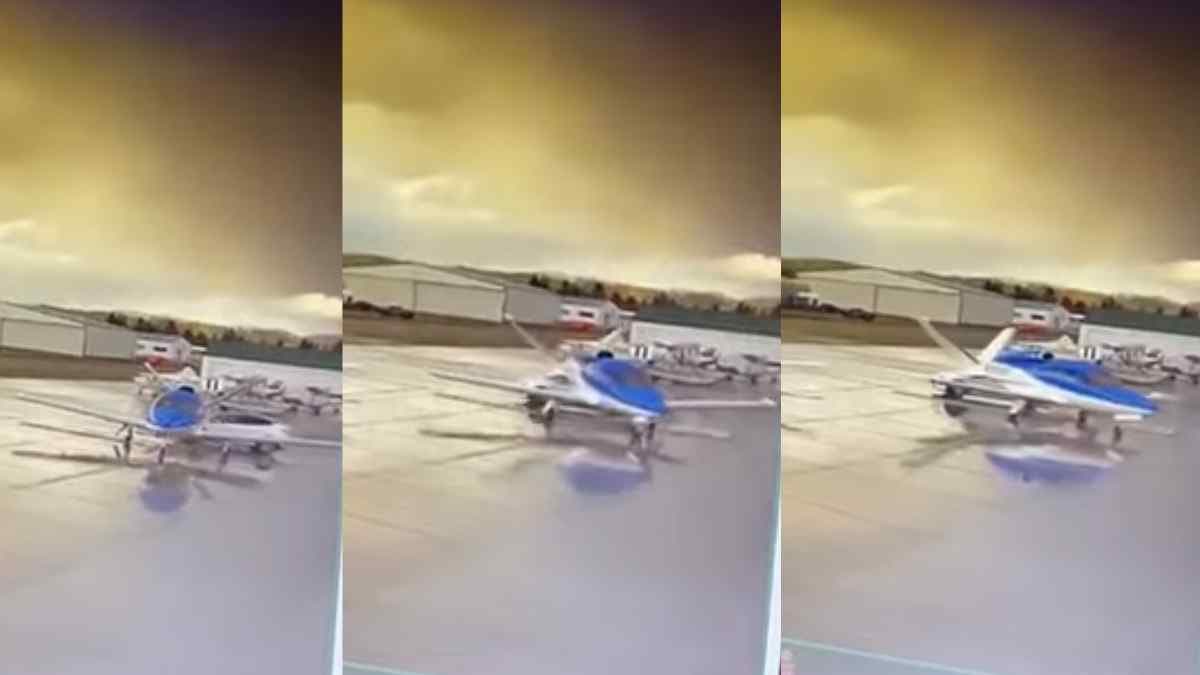 Kendi Kendine Giden Tesla, Özel Jete Çarptı