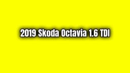 2019 Skoda Octavia 1.6 Tdi Özellikleri
