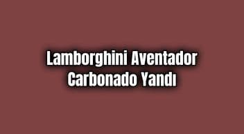 1.250 Hp Lamborghini Aventador Carbonado Tünelde Yandı