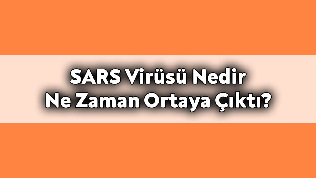 Sars Virüsü Nedir ve ne Zaman Ortaya Çıktı?