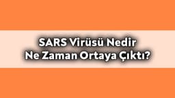 Sars Virüsü Nedir ve ne Zaman Ortaya Çıktı?