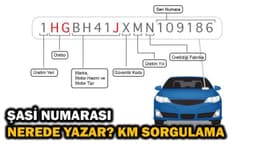 Şasi Numarası Nedir, Nerede Yazar, Nasıl Öğrenebilirim, Sorgulama?