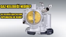 Gaz Kelebeği Nedir ve Nasıl Temizlenir?