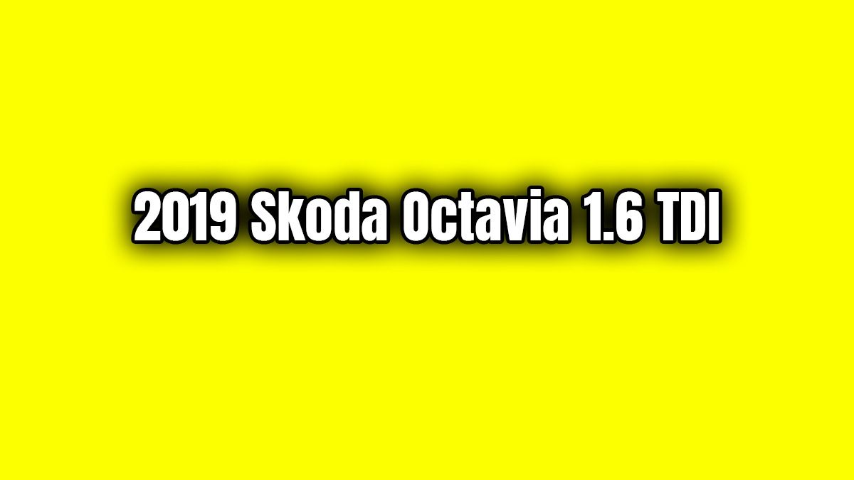 2019 Skoda Octavia 1.6 Tdi Özellikleri 1 2019 Skoda Octavia 1.6 Tdi Özellikleri