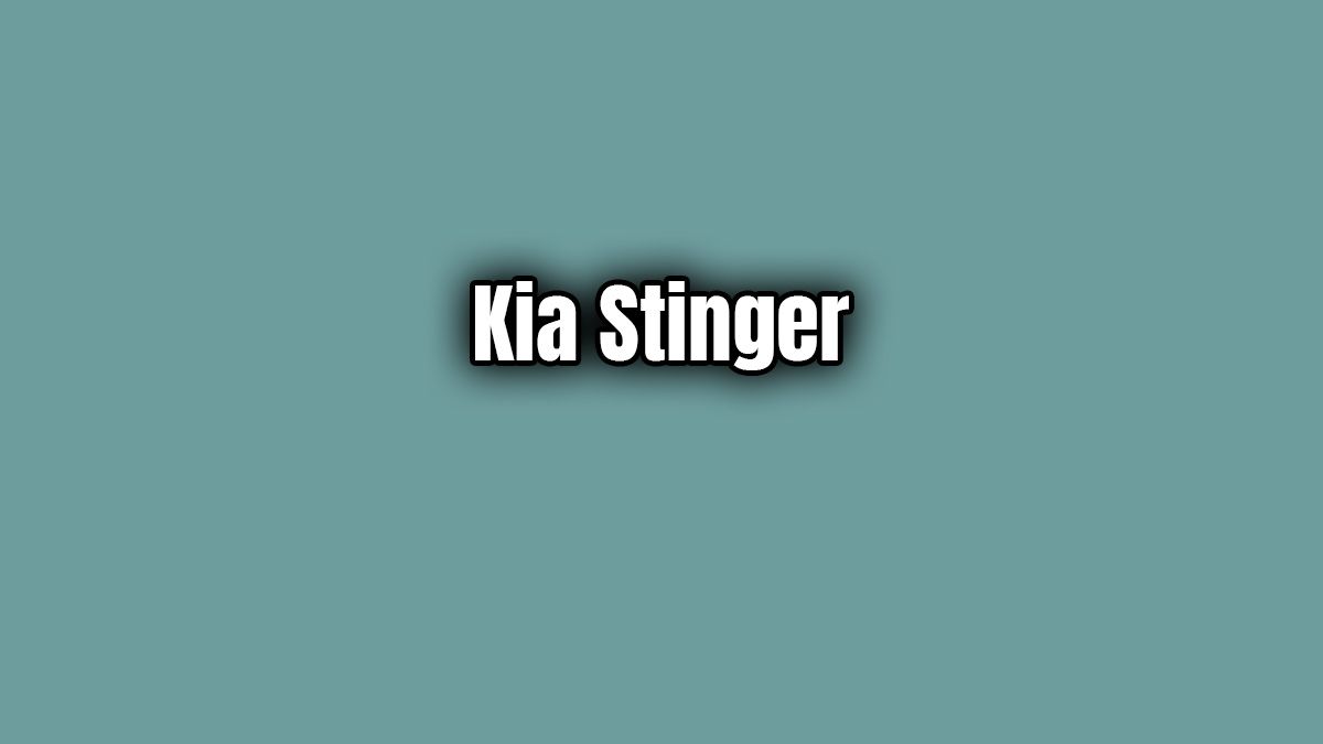 2019 Kia Stinger 2.0 Gdi Özellikleri 1 2019 Kia Stinger 2.0 Gdi Özellikleri