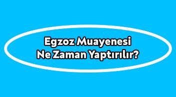Egzoz Muayenesi ne Zaman Yaptırılır? Ücreti ne Kadar Oldu?