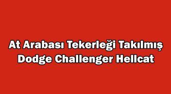 At Arabası Tekerleği Takılmış Dodge Challenger Hellcat