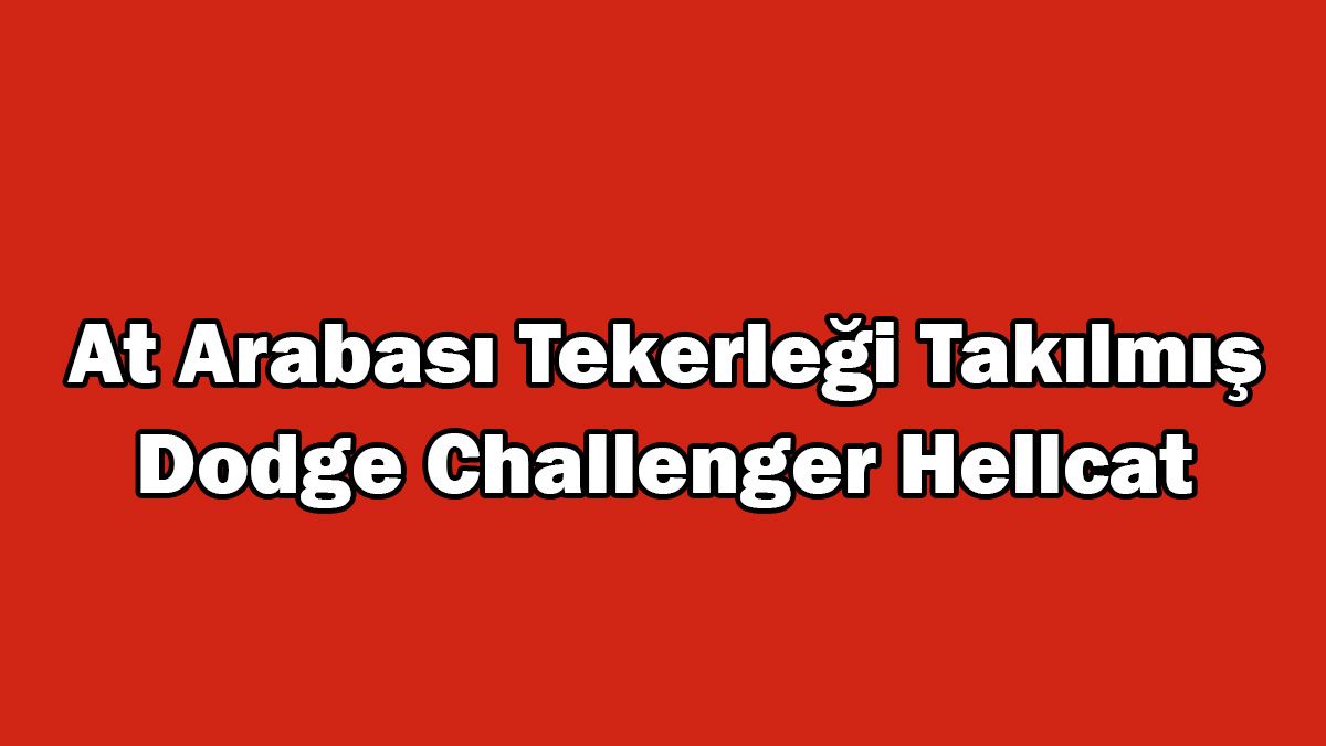 At Arabası Tekerleği Takılmış Dodge Challenger Hellcat 1 At Arabası Tekerleği Takılmış Dodge Challenger Hellcat